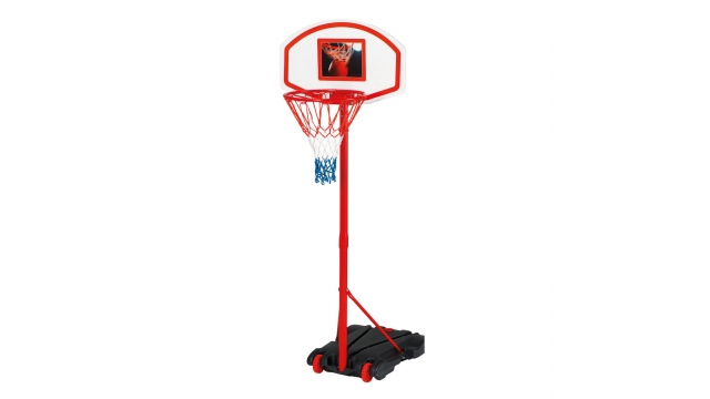 Alert Basketbal Standaard 215 cm