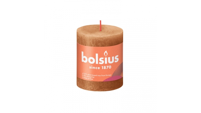 Bolsius Kaars 8x6,8 cm Spicy Bruin