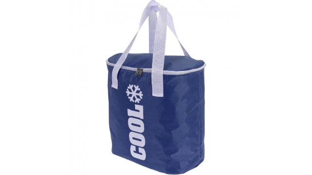 Koeltas Ovaal 24L Blauw/Wit