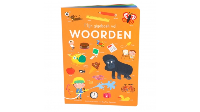 Boek Mijn Gigaboek Vol Woorden