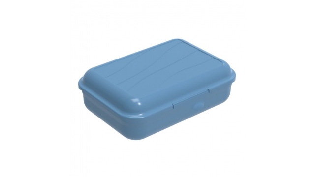 Rotho Fun Lunchbox met Verdeelschotje 0.9L Horizon Blauw