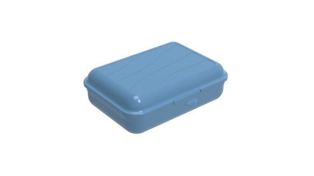 Rotho Fun Lunchbox 1.25L Horizon Blauw