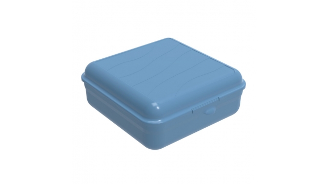 Rotho Fun Lunchbox Vierkant 2.35L Horizon Blauw