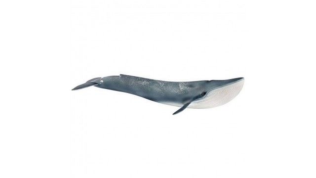 Schleich Blauwe Walvis