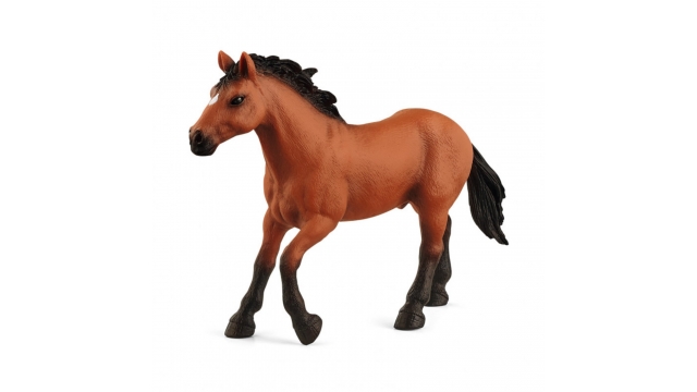 Schleich Appaloosa Hengst